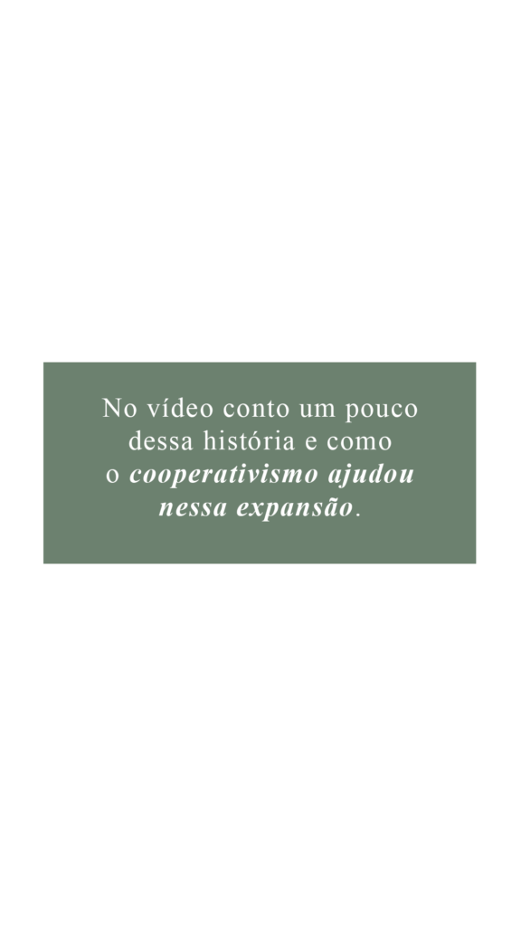Dan Arruda — peça 4